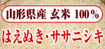 山形県産　玄米　はえぬき　ササニシキ