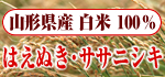 山形県産　白米　はえぬき　ササニシキ