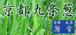 葱常　京都九条葱
