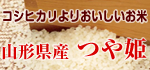 山形県産　つや姫