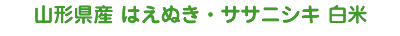 山形県産 はえぬき・ササニシキ 白米