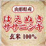 山形県産 はえぬき・ササニシキ 玄米