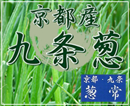 京野菜　京都九条葱